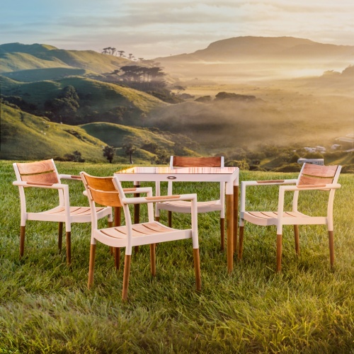 70448 Bloom 5 piece Dining Set of a 32 inch square teak and powder coated aluminum dining table and 4 dining armchairs on grass pasture with mountains in background