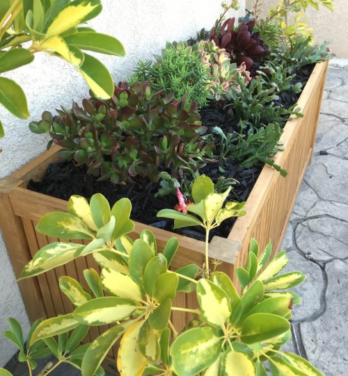 18130 rectangular four foot planter on stone patio with flowers in planter