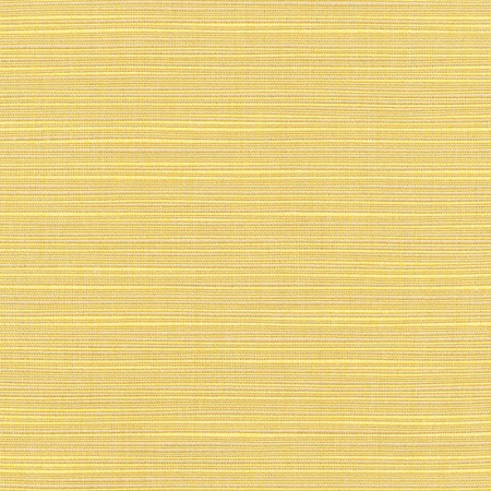 Color Dupione Cornsilk