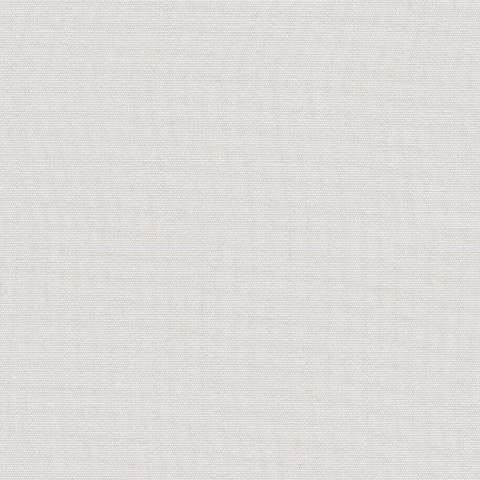 Color Canvas