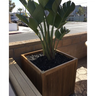 Cube Planter 