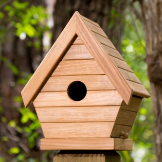 Teak Bird House